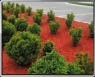 Aplicacin de MULCH