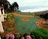 Aplicacin de MULCH