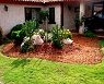 Aplicacin de MULCH