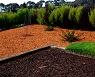 Aplicacin de MULCH
