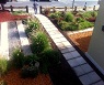 Aplicacin de MULCH