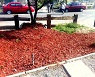 Aplicacin de MULCH