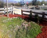 Aplicacin de MULCH