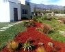 Aplicacin de MULCH