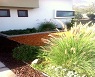 Aplicacin de MULCH