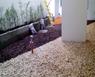 Aplicacin de MULCH
