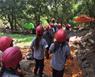 Aplicacin de MULCH