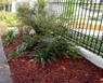 Aplicacin de MULCH