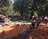 Aplicacin de MULCH