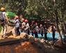 Aplicacin de MULCH