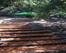 Aplicacin de MULCH