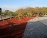Aplicacin de MULCH