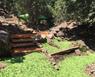 Aplicacin de MULCH